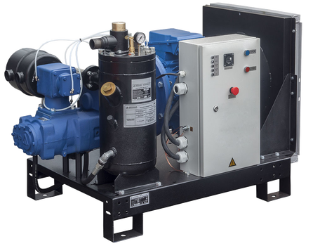 Вид винтового компрессора