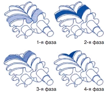 Цикл и фазы работы винтового компрессора