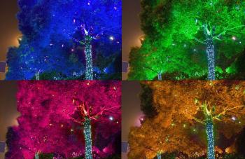 Подсветка  деревьев в парке